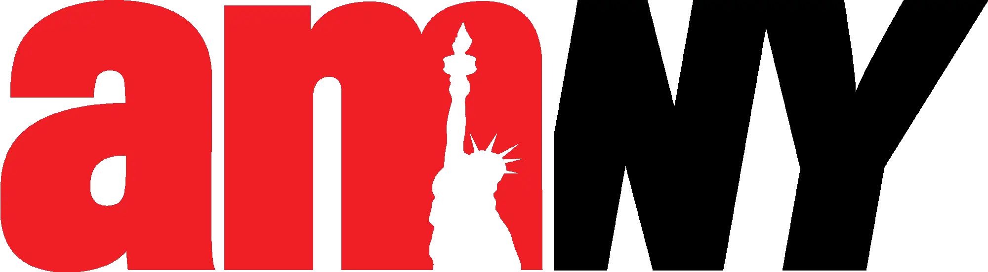 logo-amny